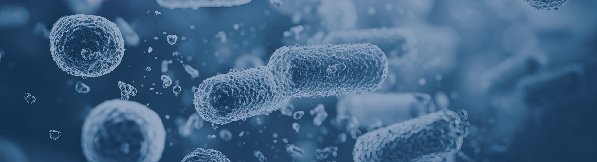 Donna della pubblicità televisiva