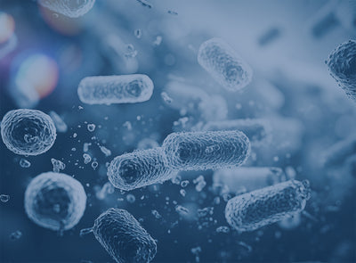 Donna della pubblicità televisiva